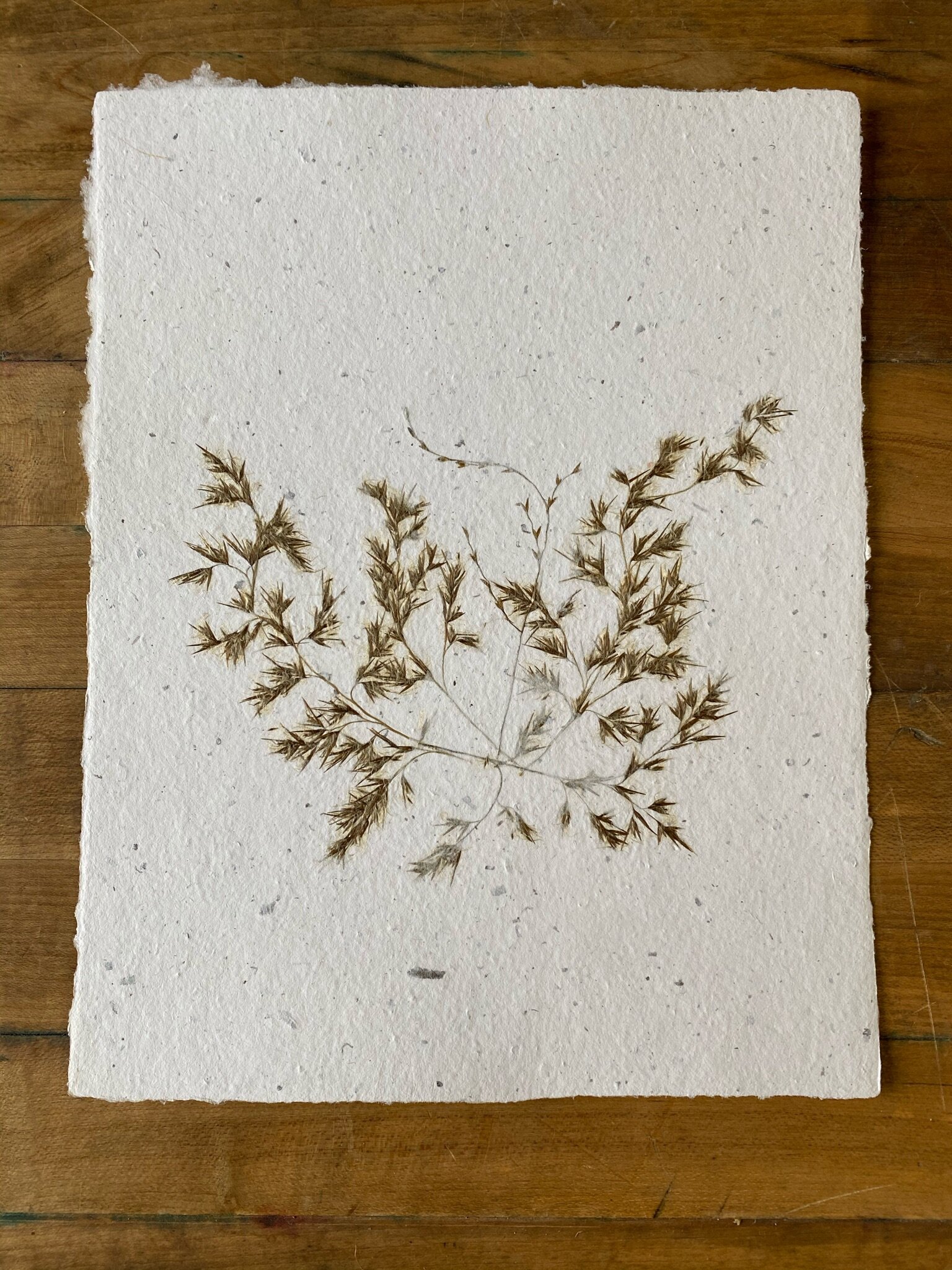 BFP010 Botanical Print