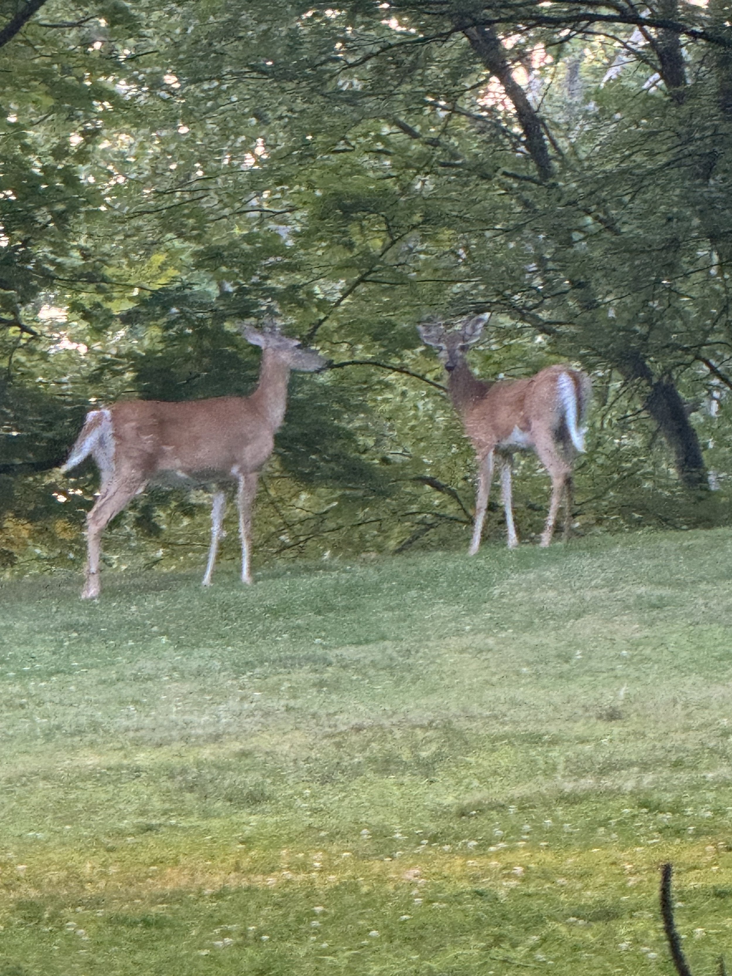 Intimacy Conversation