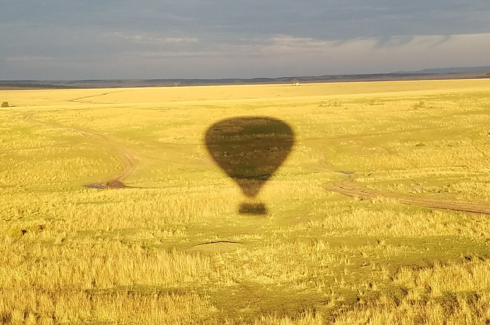 Africa balloon shadow.jpg