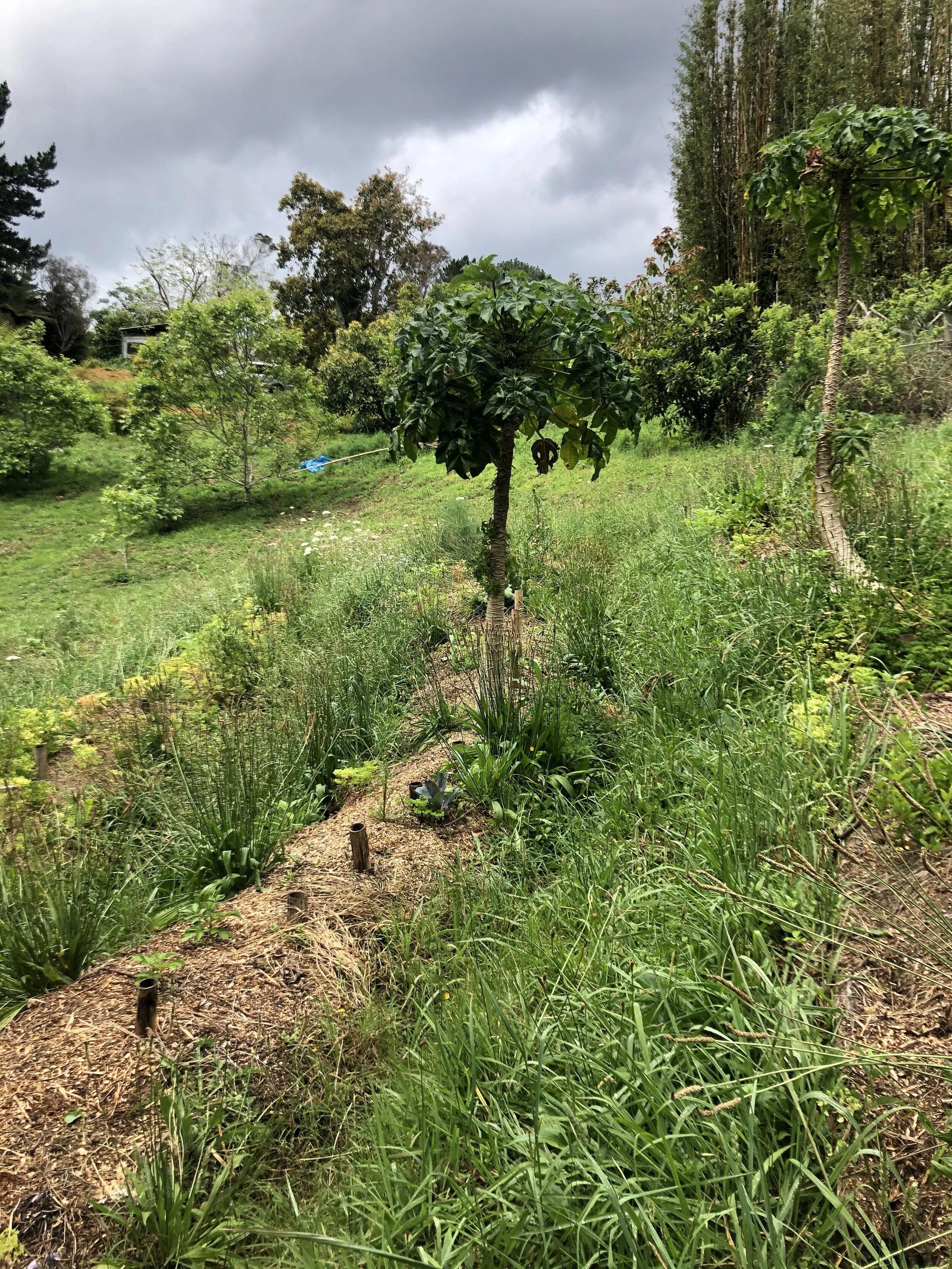 Interview with Wilderland Resident and Gardener