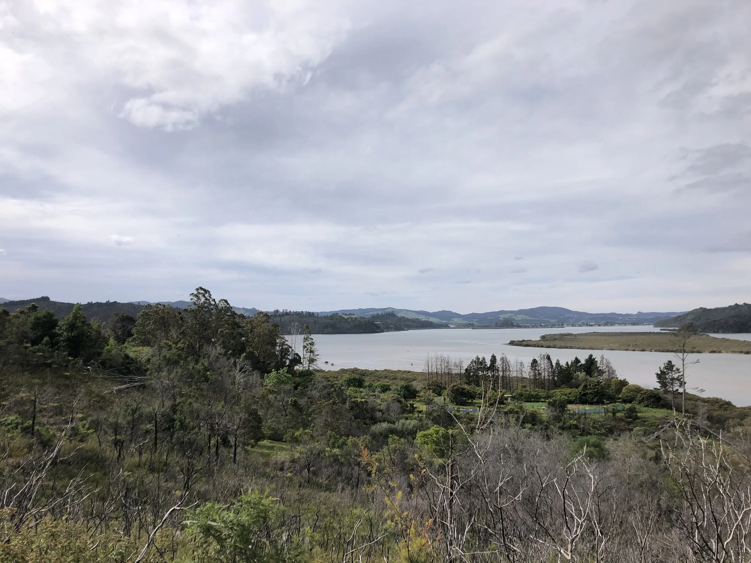 Learnings From Wilderland