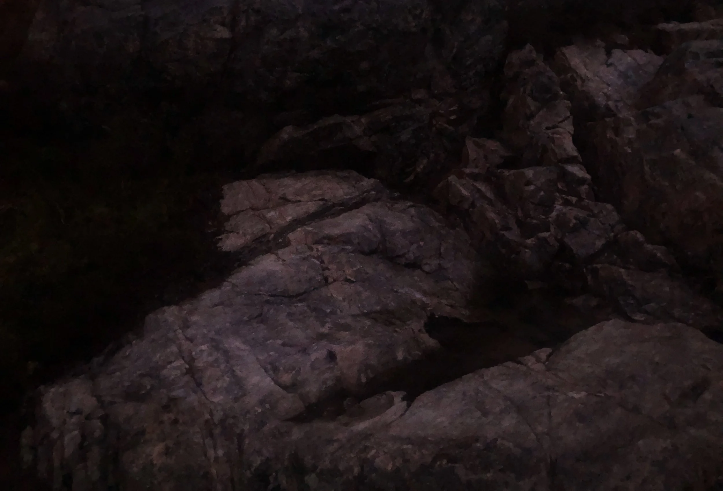THE JOURNEY_DARK.jpg