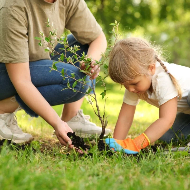 Rooted in Energy Savings: Celebrating Earth and Arbor Day