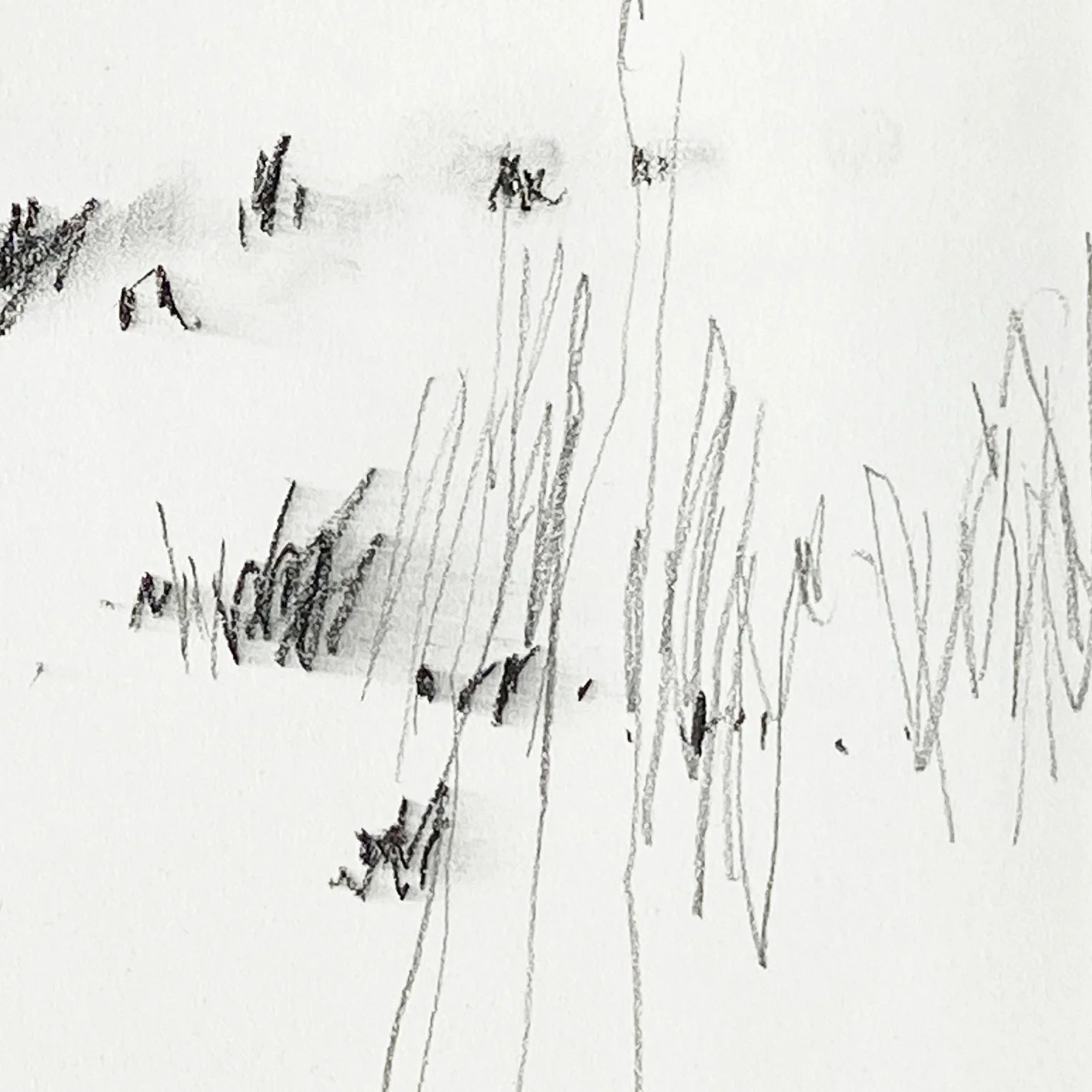 Prairie-Sketch-1-Lori-Sokoluk-Prairie-detail.jpg
