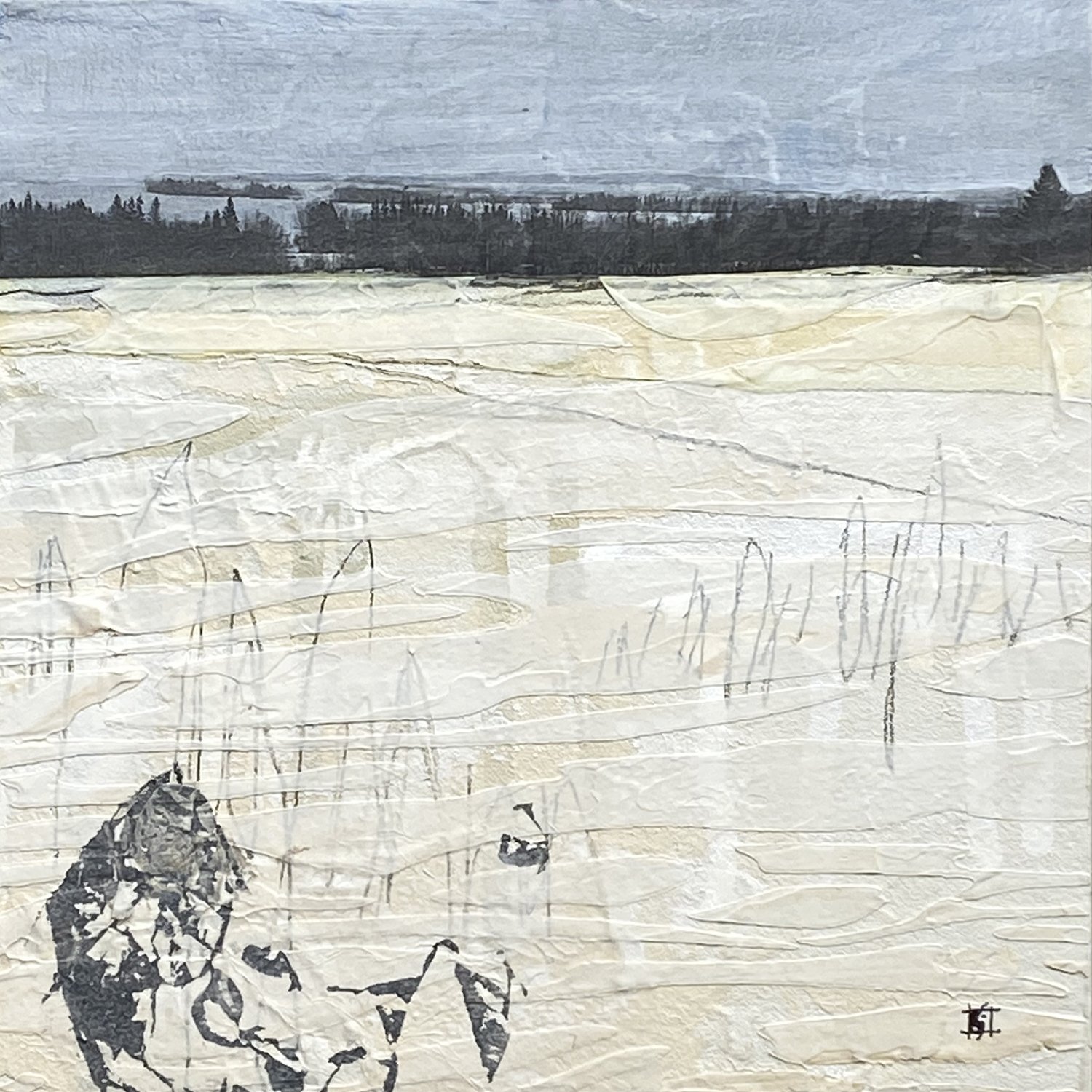 StillQuietCold 1500x1500px.jpg