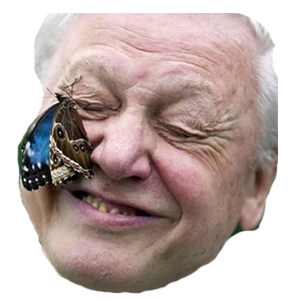 David_Attenborough.png