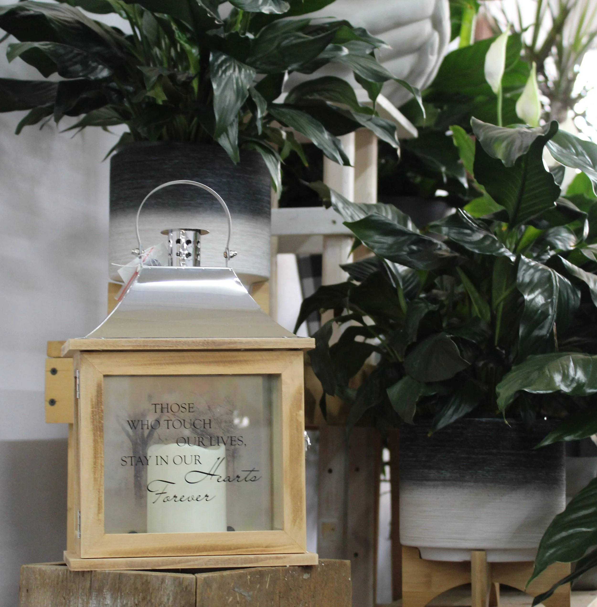 Those who touch our lives - Lantern