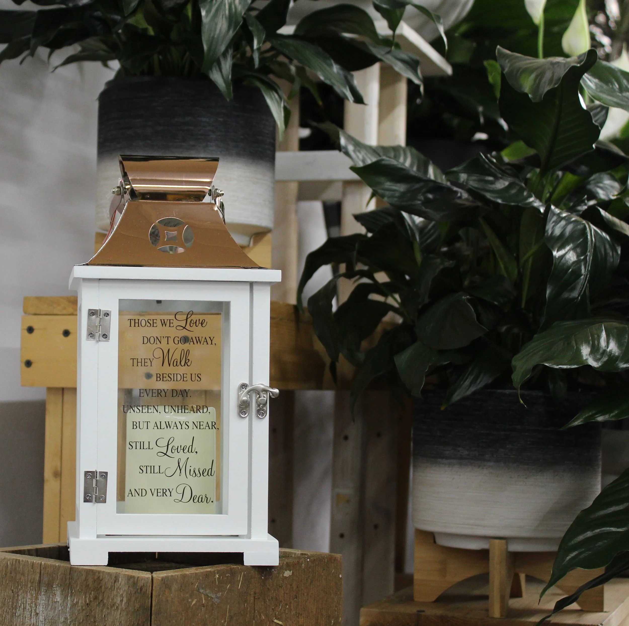 Those we love..Lantern