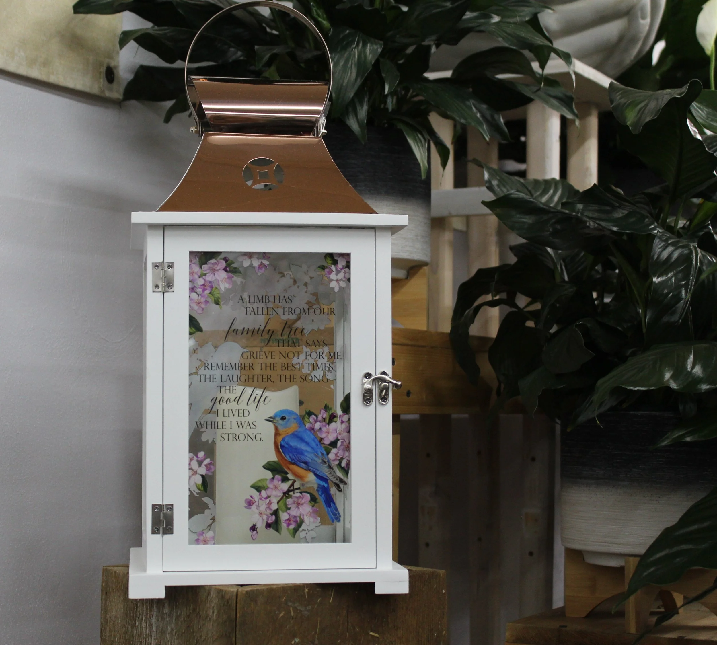 "Family Tree" Lantern