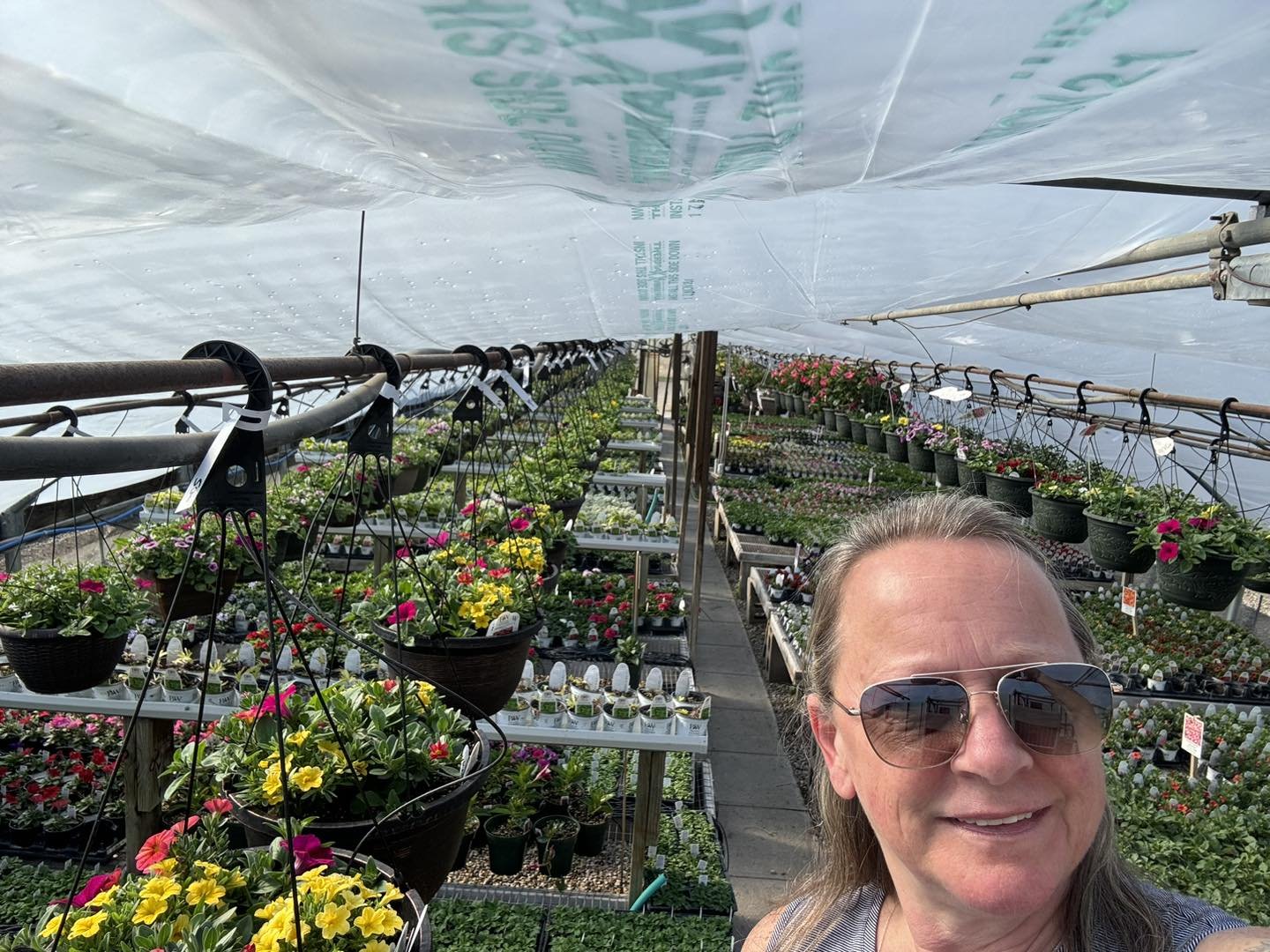 The beautiful view from the ladder! 
Stop down and see me today. I&rsquo;m here until 2 o&rsquo;clock or maybe later 🤗🌺 #emmetsburgiowagreenhouse #customgreenhousegrower #blossomingbydesign #blossomingcreations #emmetsburgiowagardencenter