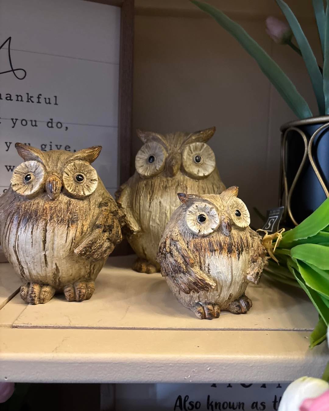 These darling little hoot owls are so cute!  Owls were everywhere at market!  These cuties are tucked in the &ldquo;Mom&rdquo; section at the shop!