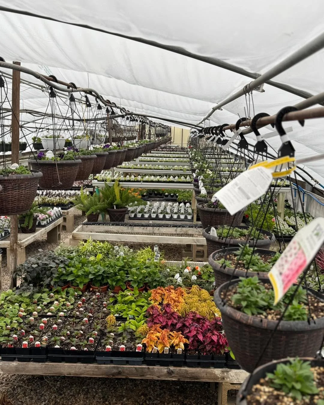 Planting and progress&hellip; aka dirt, chaos, and a whole lotta future pretty 🌱✨
Opening soon at Blossoming Creations Garden Center Stay tuned!!