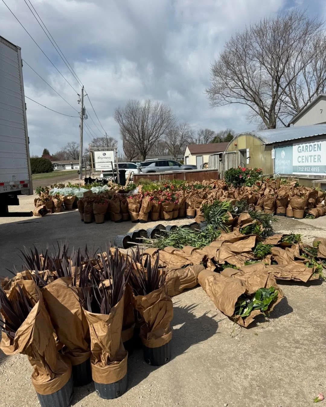 Thank you so much to everyone that helped yesterday and last night getting all of our tropicals unloaded and unsleeved. We have so many new beautiful things to show you this year so stay tuned. I&rsquo;ll be posting pictures of all the new soon!
Blos