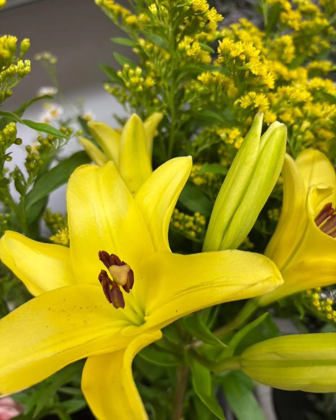 Headed to graduation this weekend&hellip;grab a fresh  bouquet of flowers for the graduate. 💐 we can make any price point. 🎓