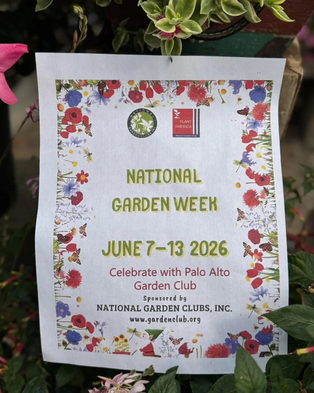 It&rsquo;s National Garden Week! Help us celebrate with the Palo Alto Garden Club and stop down for savings on all bedding plants at 30% off! Blossoming Creations Garden center 1604 18th St. Emmetsburg