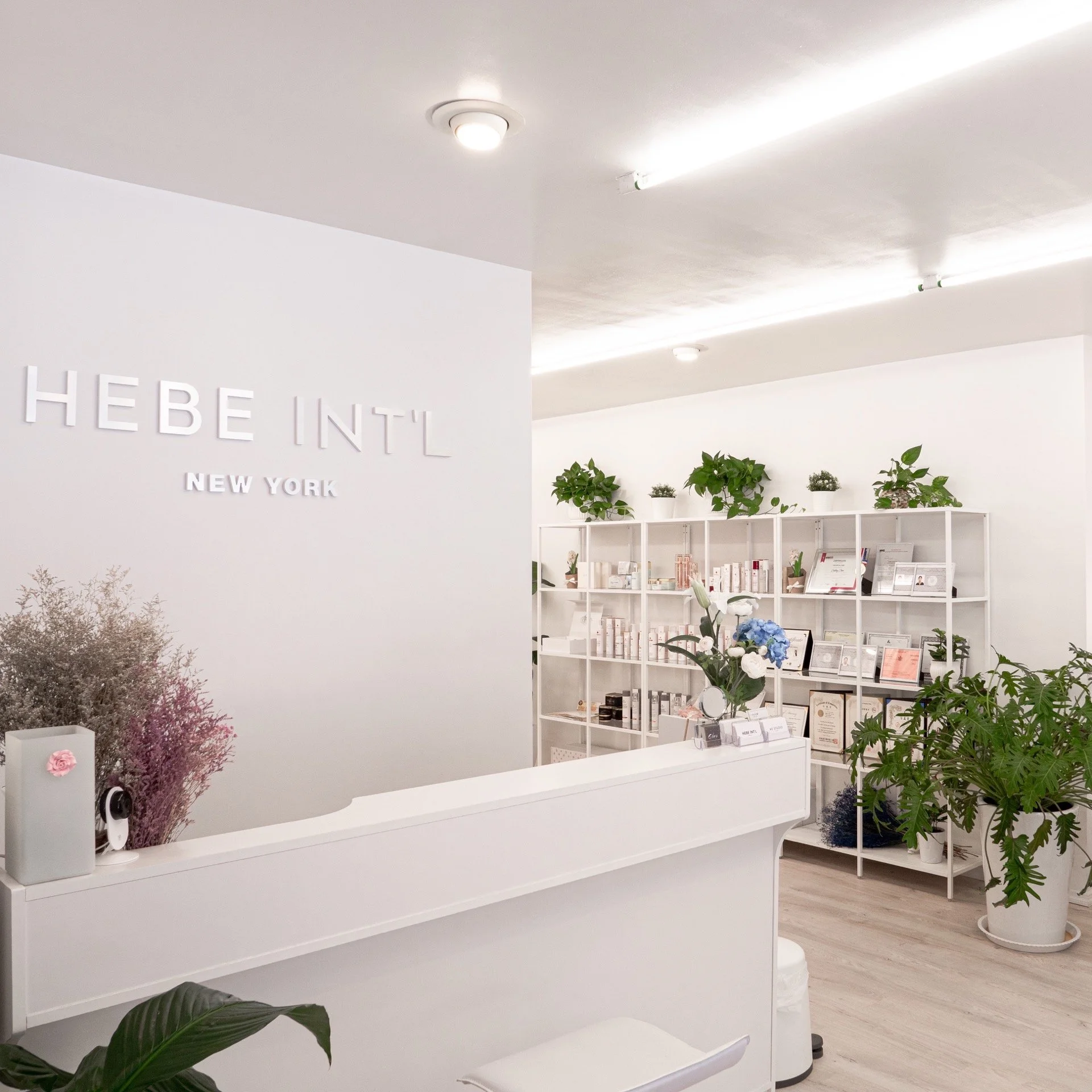 HEBE INT'L Skincare Lower East Side Facial Spa Beauty Lash