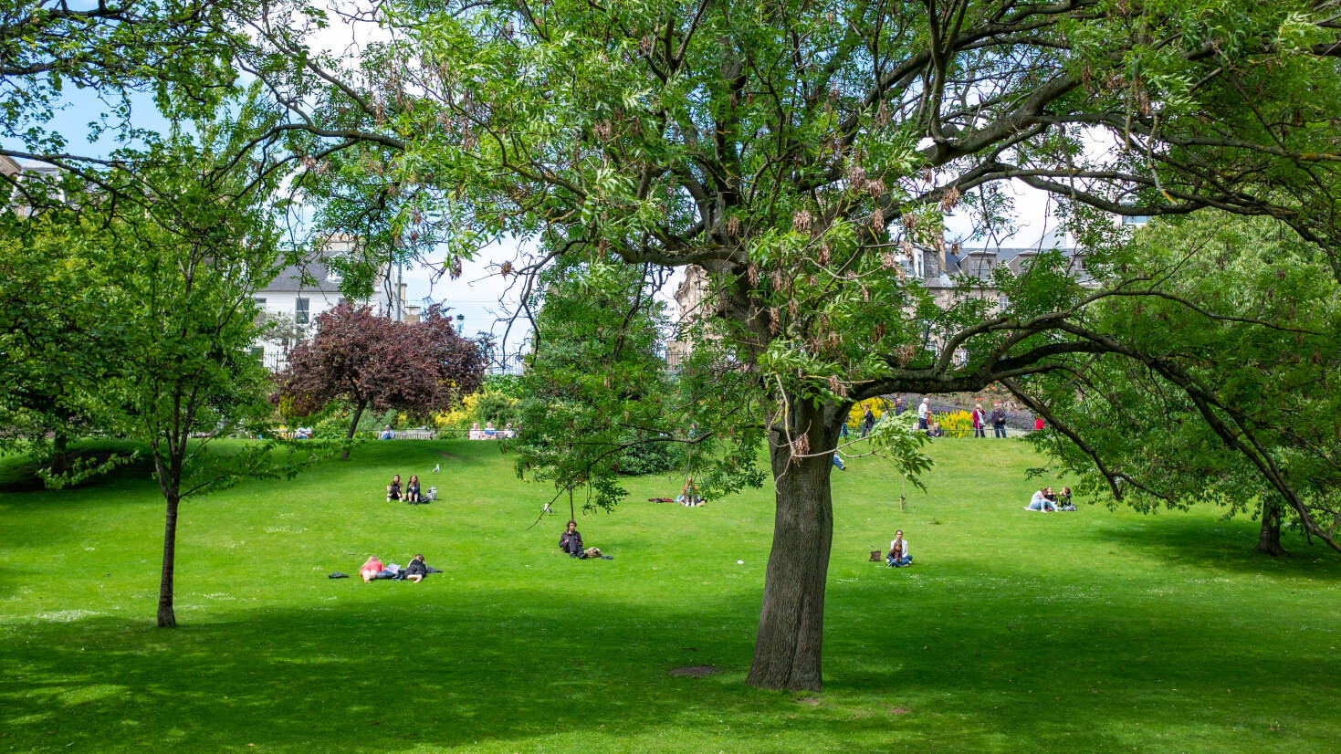Perspectives from hard hats &amp; high vis vests: What outdoor staff think about their workplace