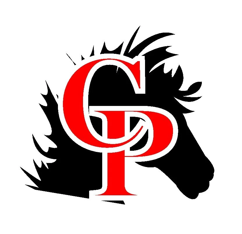 Casimir Pulaski School