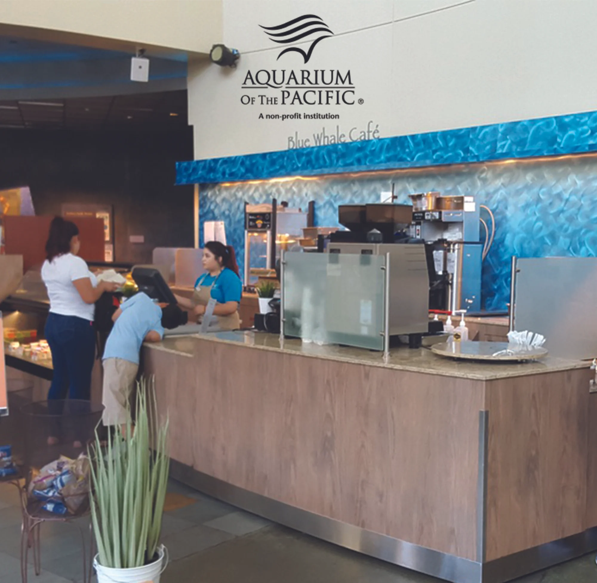 LONG BEACH AQUARIUM.jpg