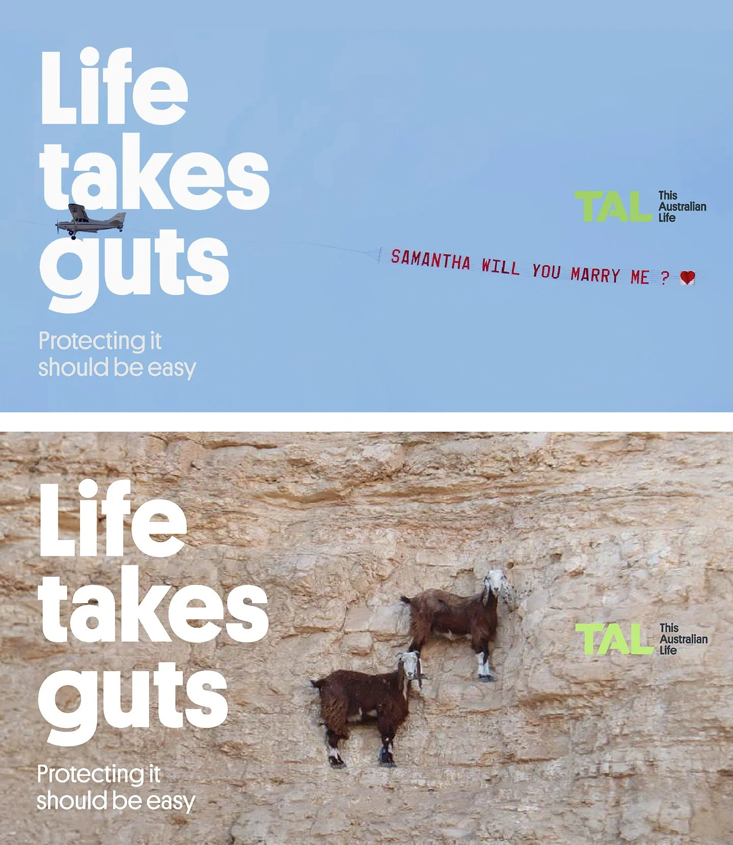 TAL-OOH-Aeroplane+Goats.jpg