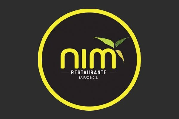 nim_logo.jpg
