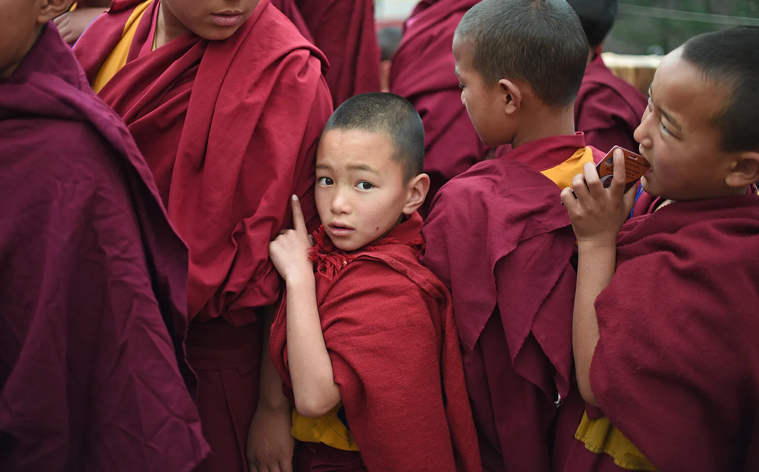 wLPG_4954 2 copy.jpg