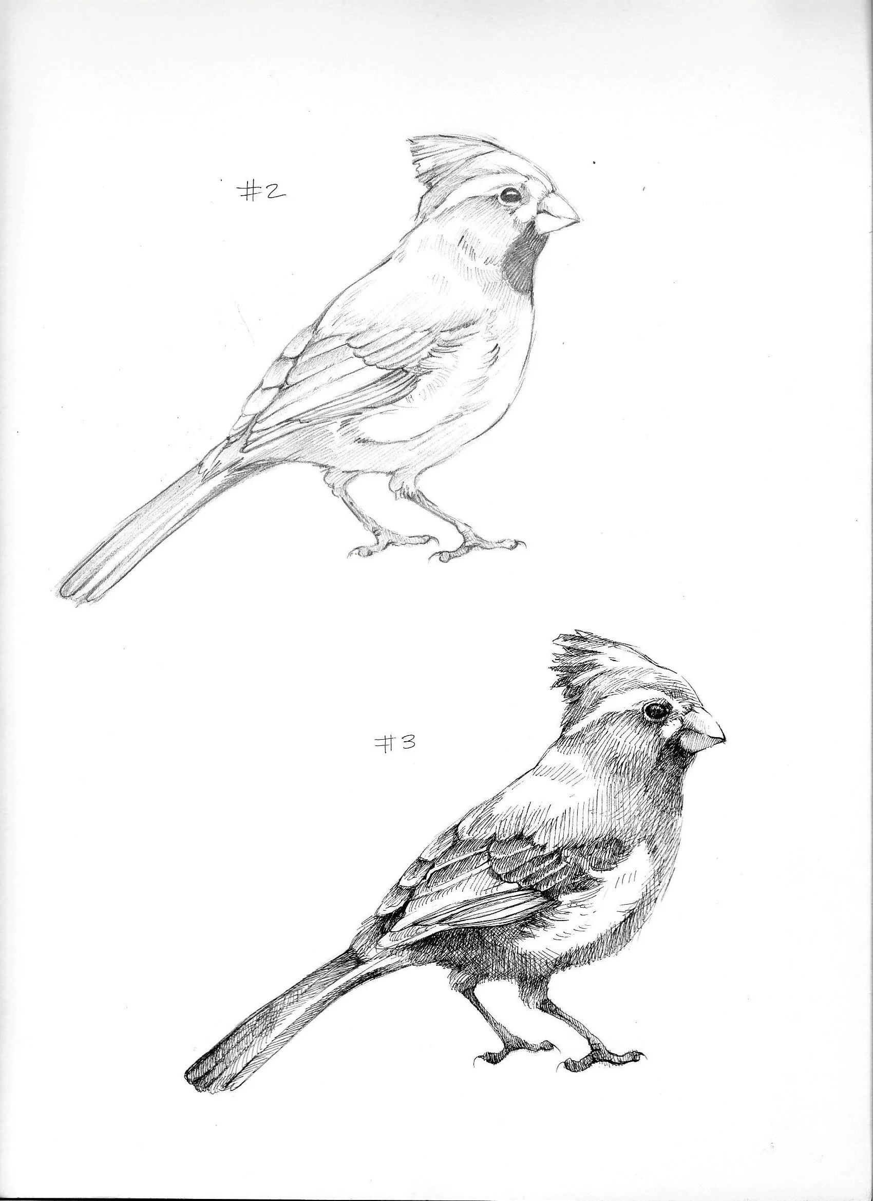illustration1_mock.jpg