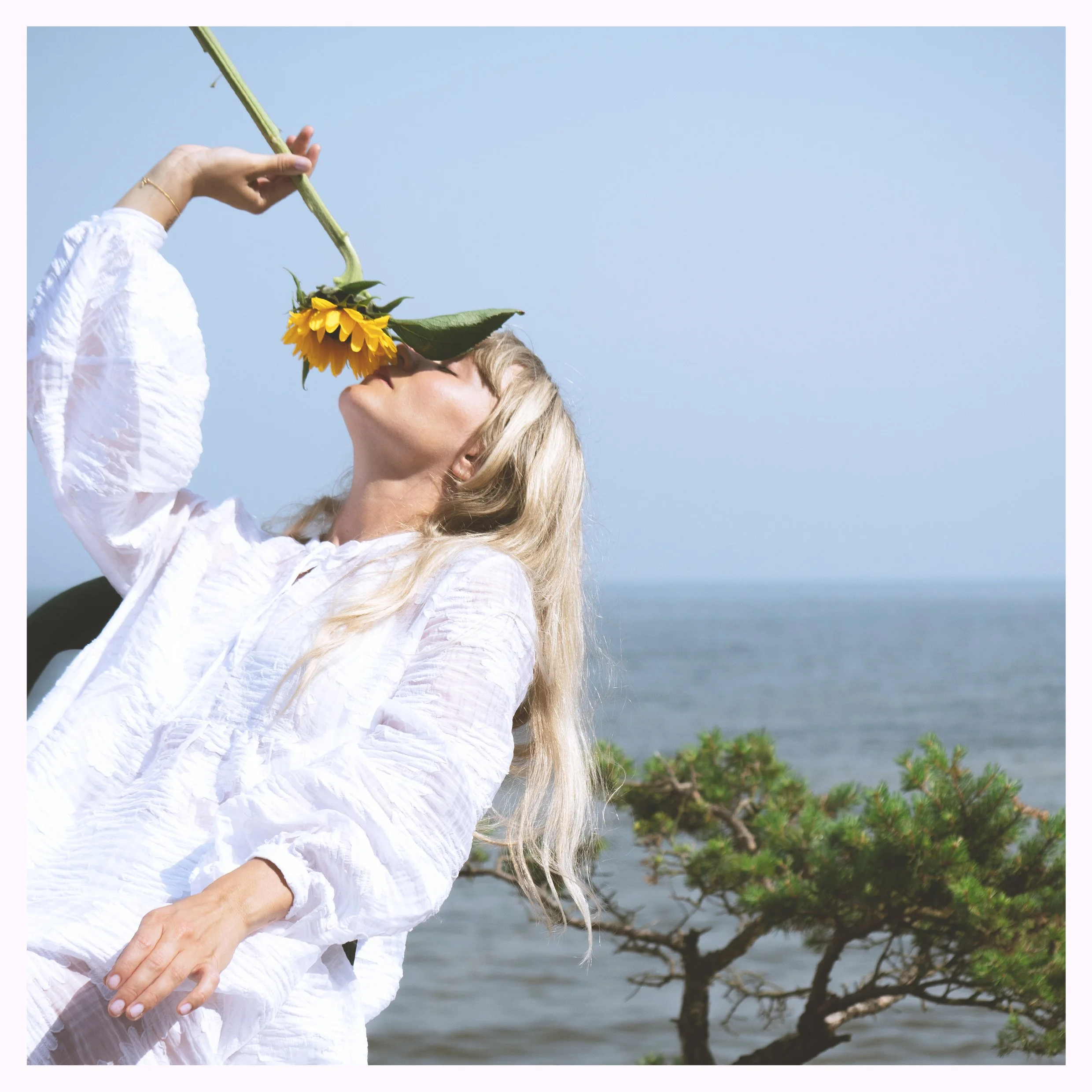 NOLA "Old Trees In Japan"