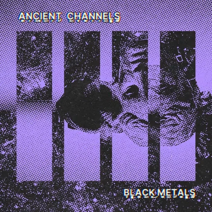 Black Metals cover.jpeg