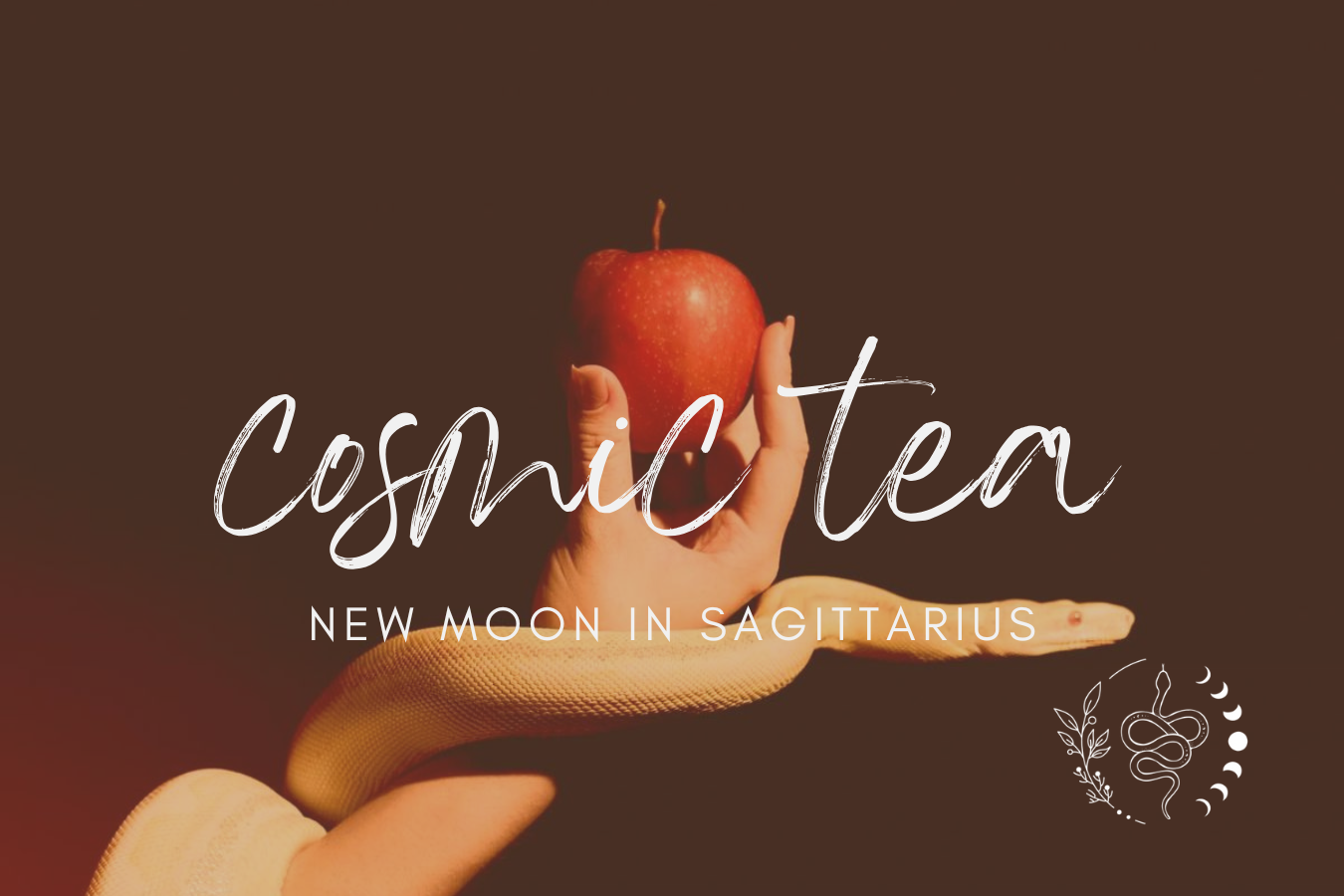 New Moon in Sagittarius