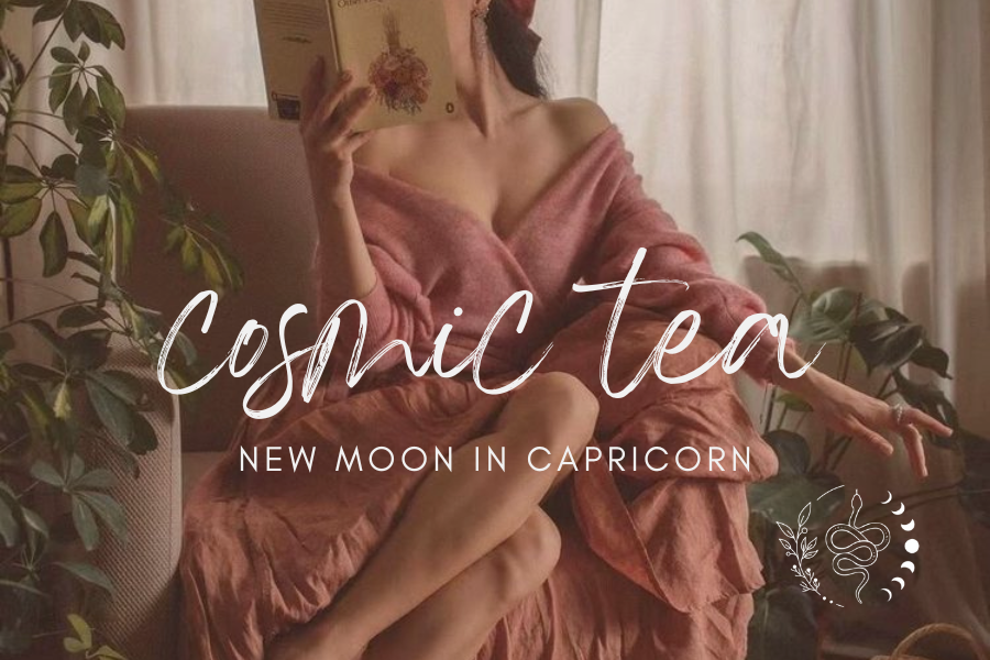 Astrology Report for the New Moon in Capricorn 2026