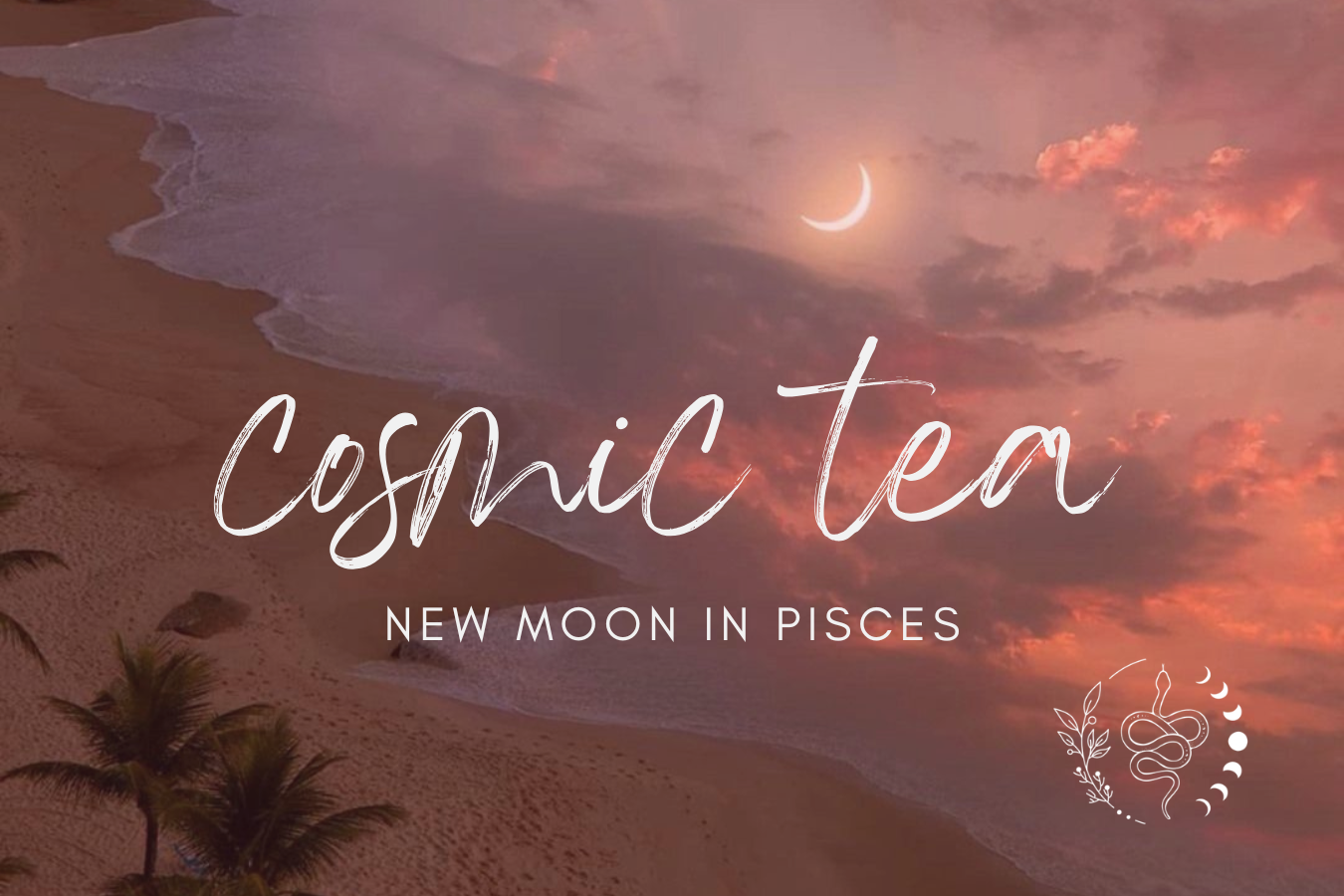 Cosmic Tea for the New Moon in Pisces 2026