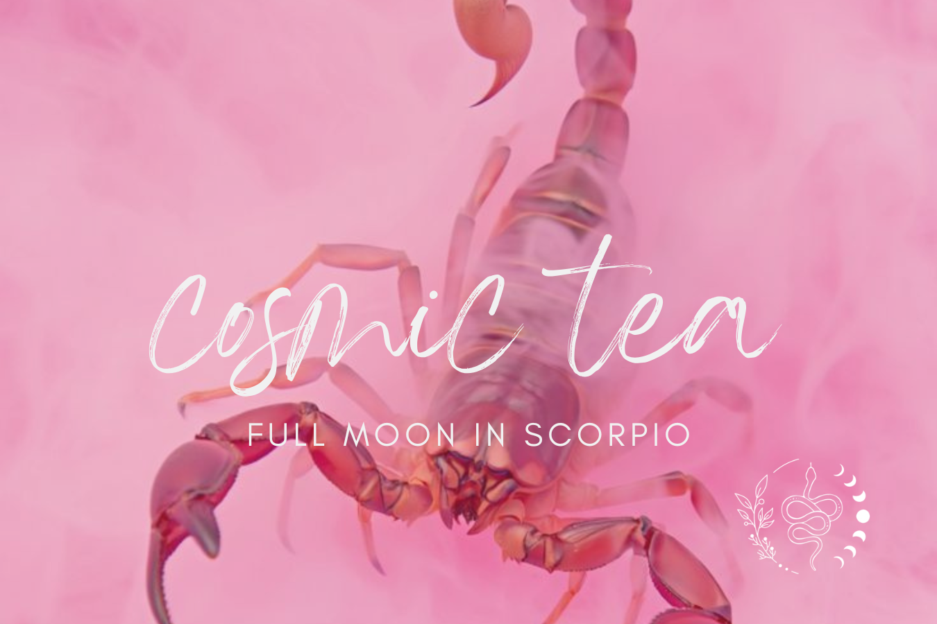 Cosmic Tea for the Full Moon in Scorpio 2026