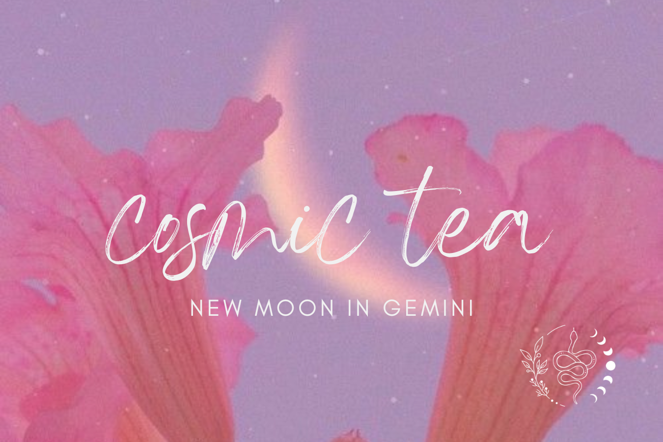 Cosmic Tea for the New Moon in Gemini 2026