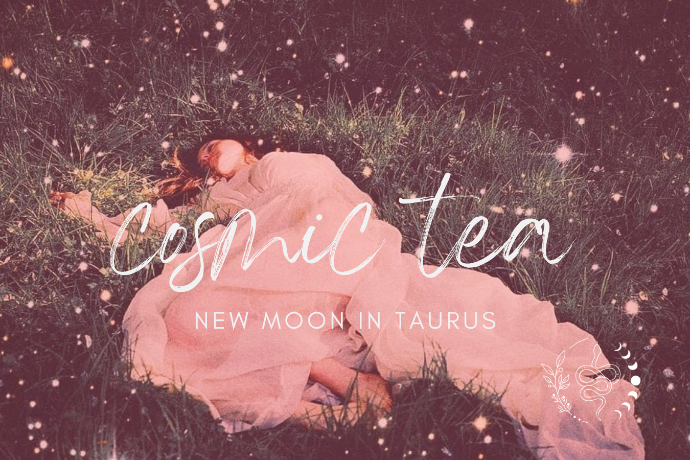 Cosmic Tea for the New Moon in Taurus 2026