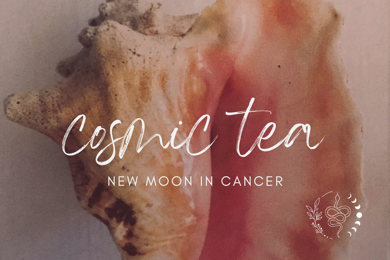 Cosmic Tea for the New Moon in Cancer 2026