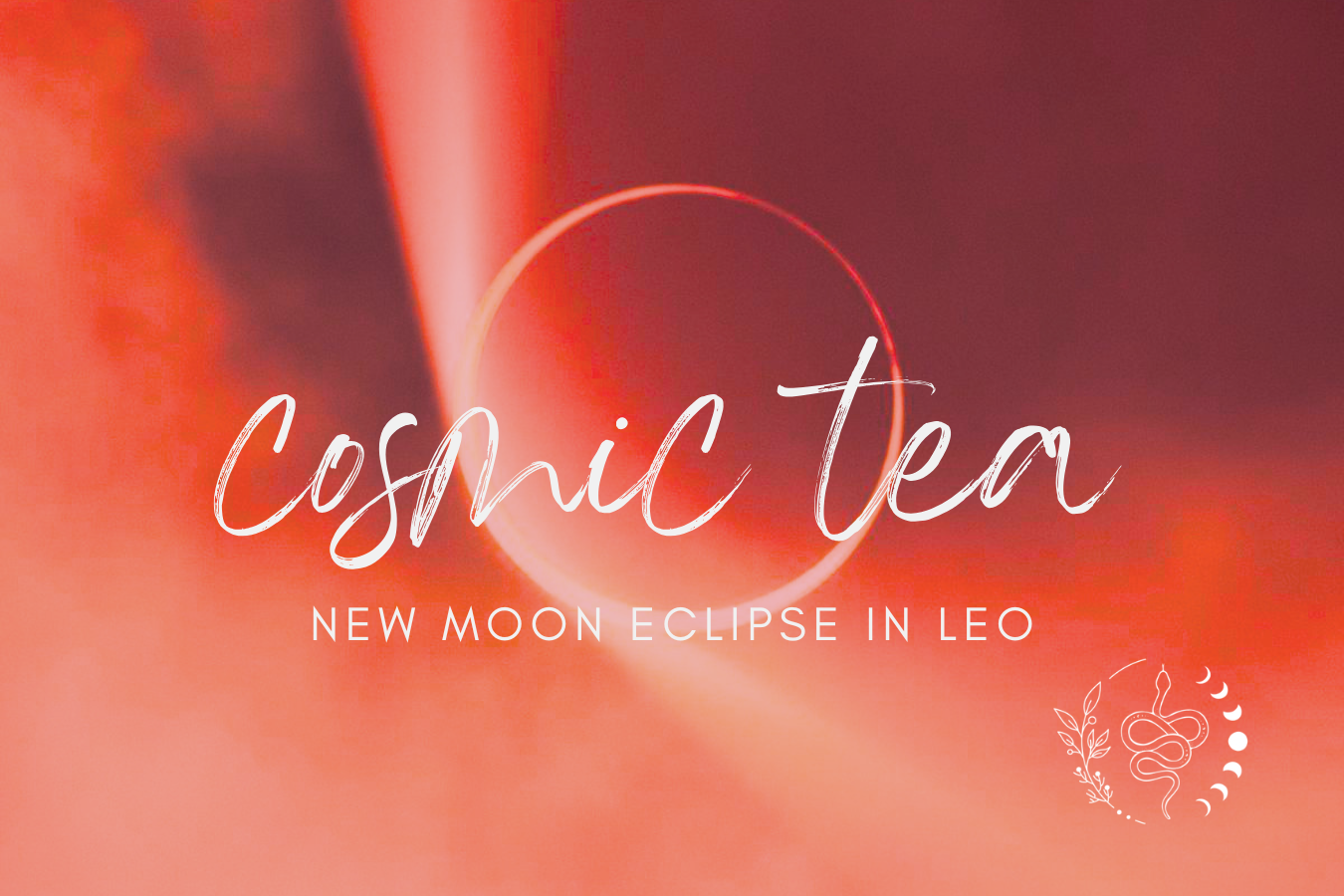Cosmic Tea for the New Moon Eclipse in Leo 2026