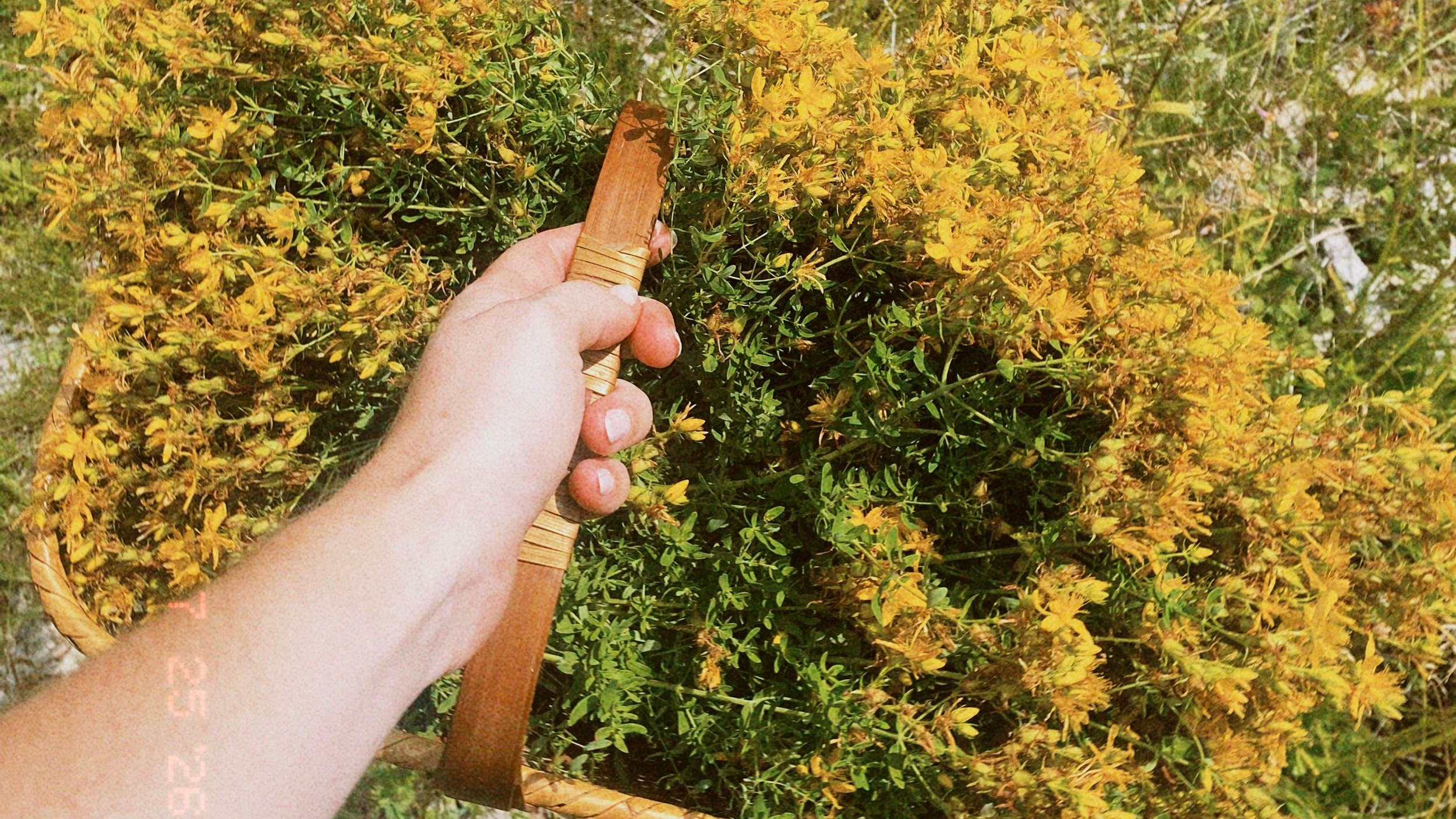 img2.png