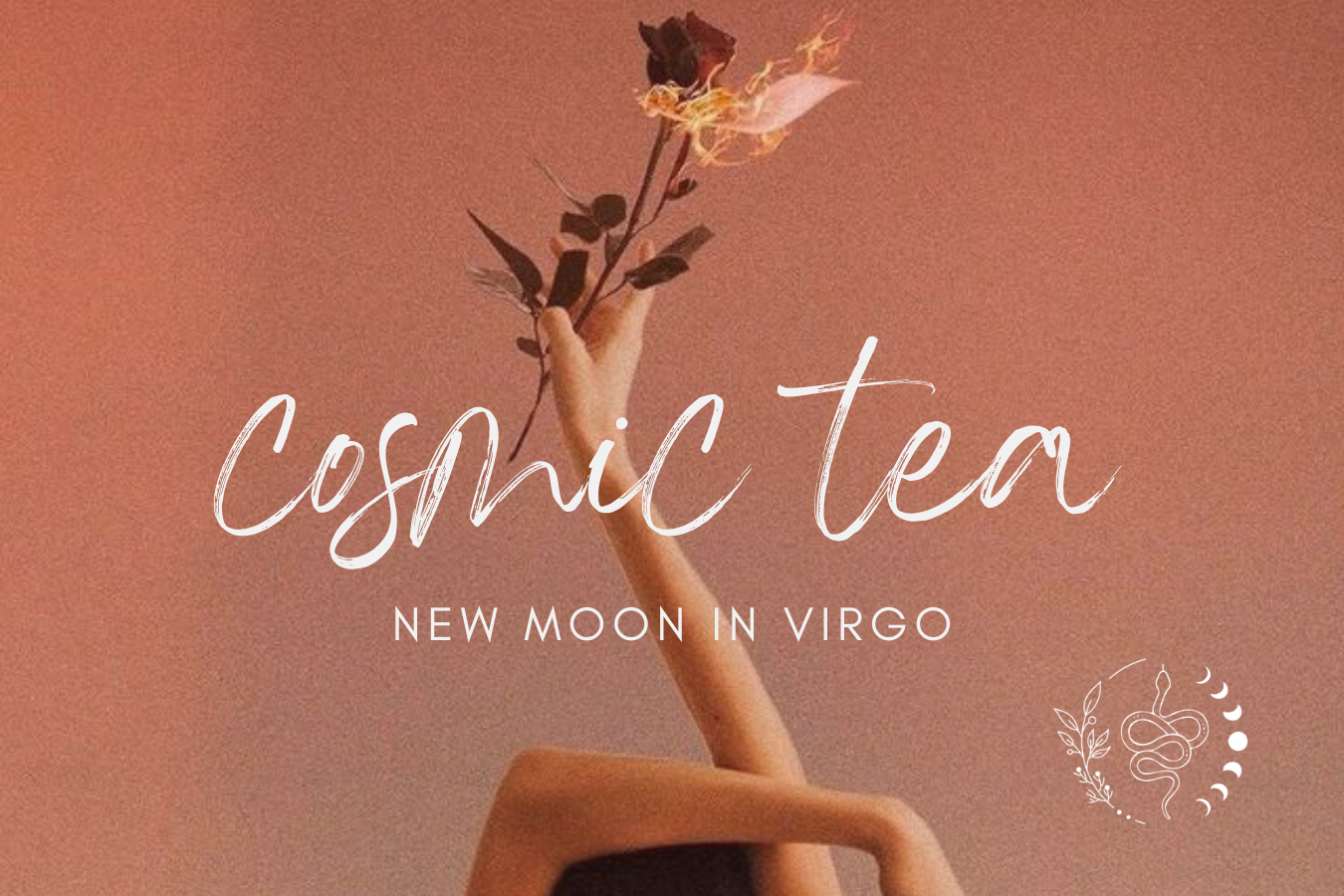 Cosmic Tea for the New Moon in Virgo 2026