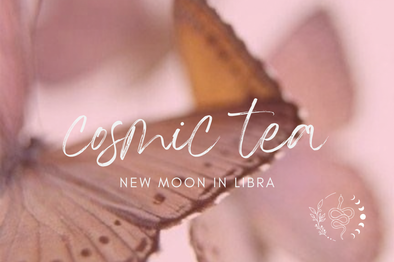 Cosmic Tea for the New Moon in Libra 2026