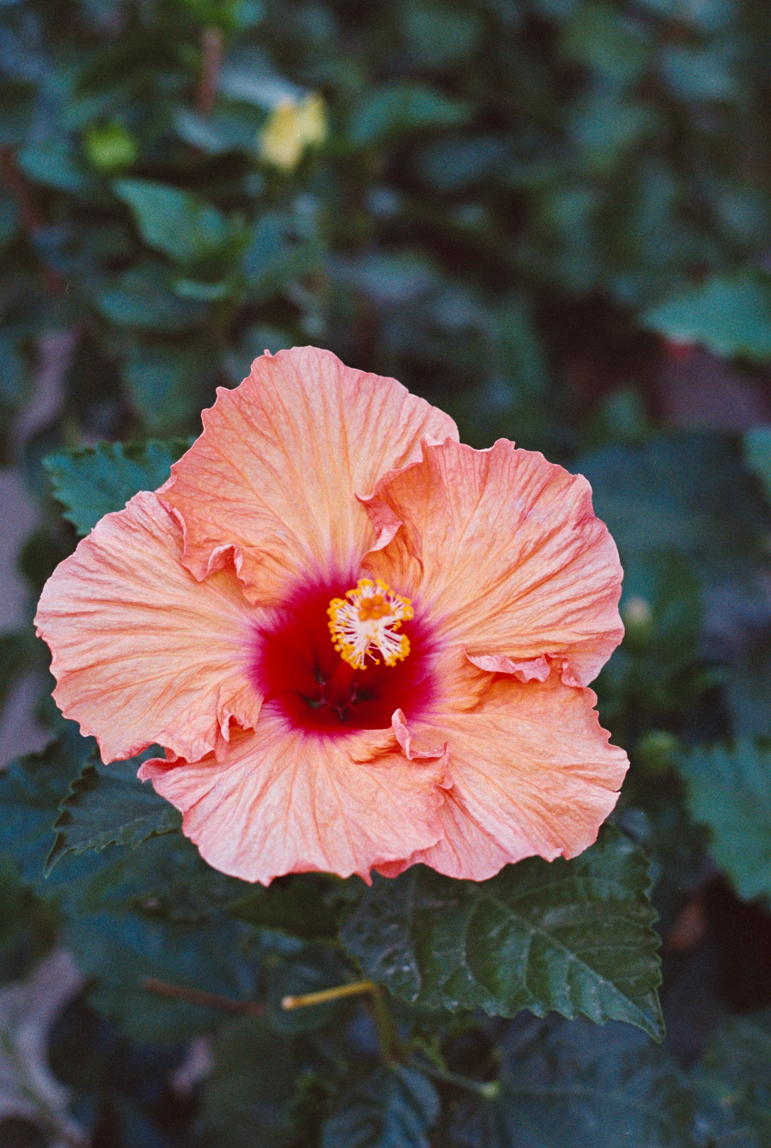 2021032813421868-7867832905833887431-JennaGoddess-1 9.jpg