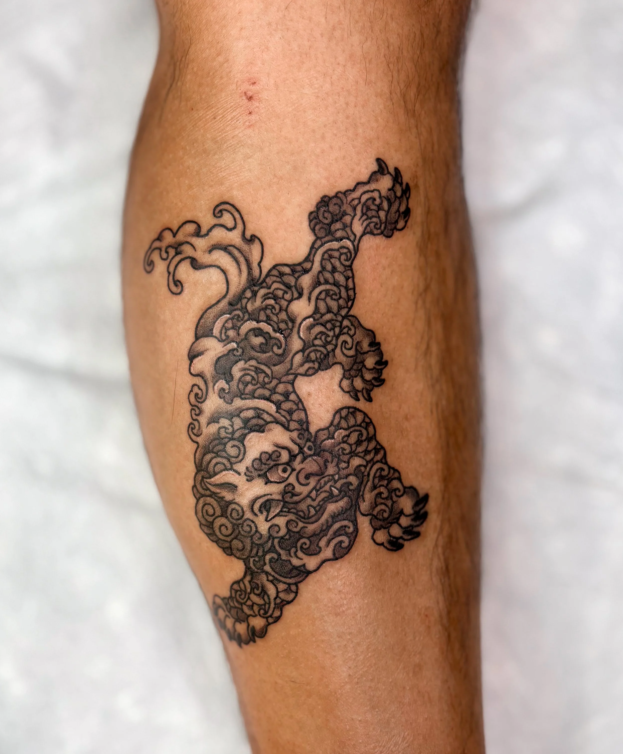 MILO PORTFOLIO-5615.jpg