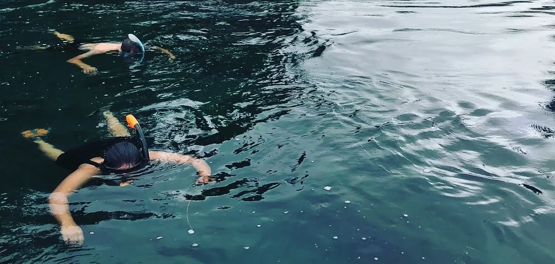 snorkel-sewell-group.jpg