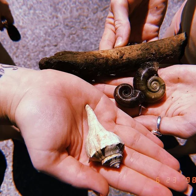 Engagement ring π―beautiful shells π― random unidentified human remanins? π just another day #ontheriver #sanmarcosriver #sanmarcostx #sanmarvelous #snorkel #austin