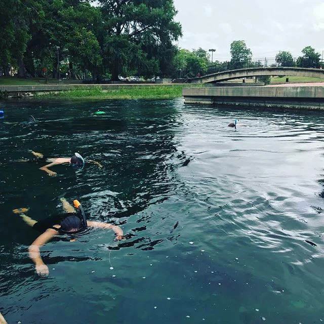 Sewell is Cool #sanmarvelous #sanmarcosriver #texashillcountry #tx #snorkel #txst #sanmarcos #snorkeltx #texas #summer