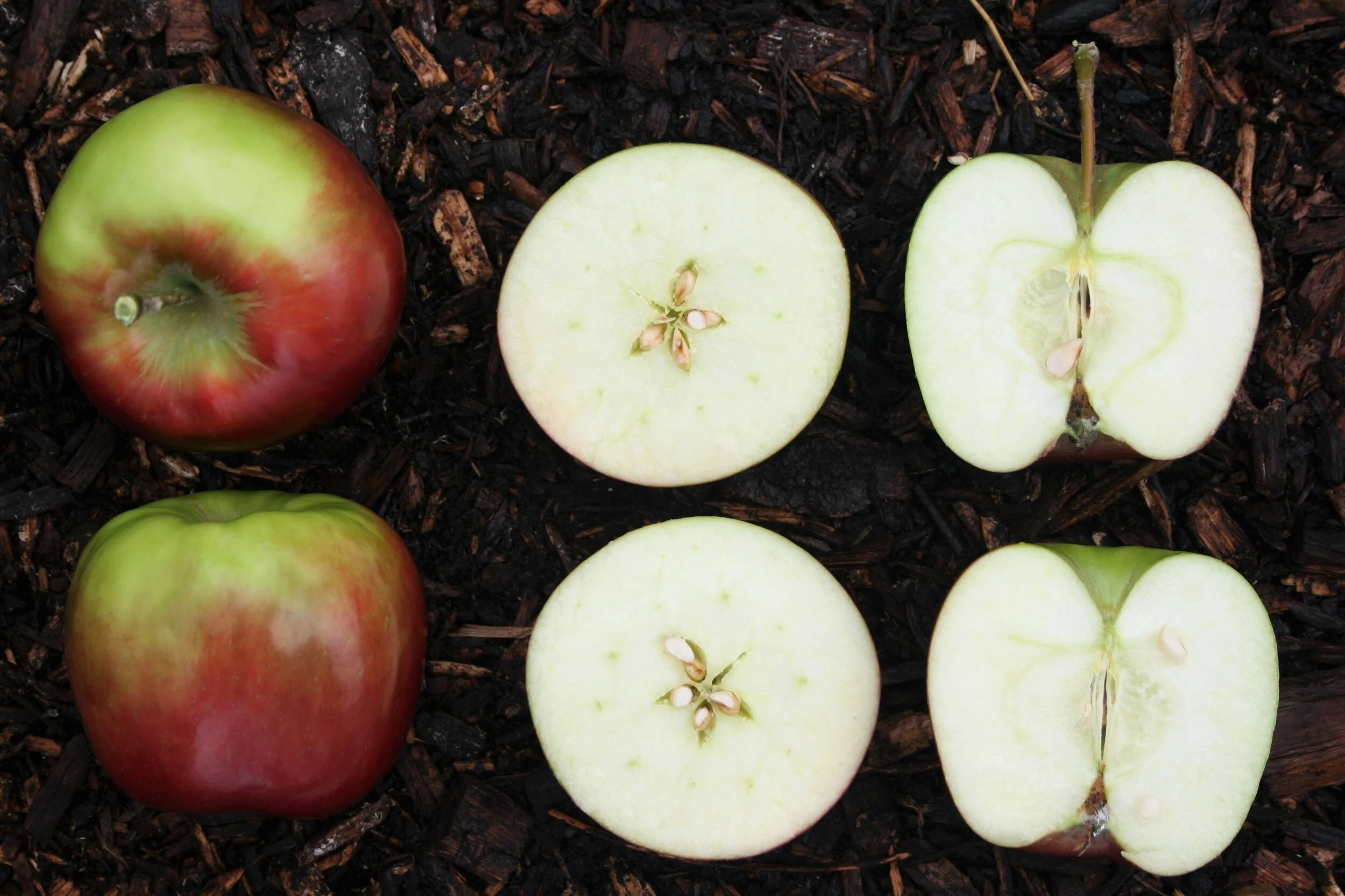 3 Reasons You Need Apple Cider Vinegar to uplevel your health