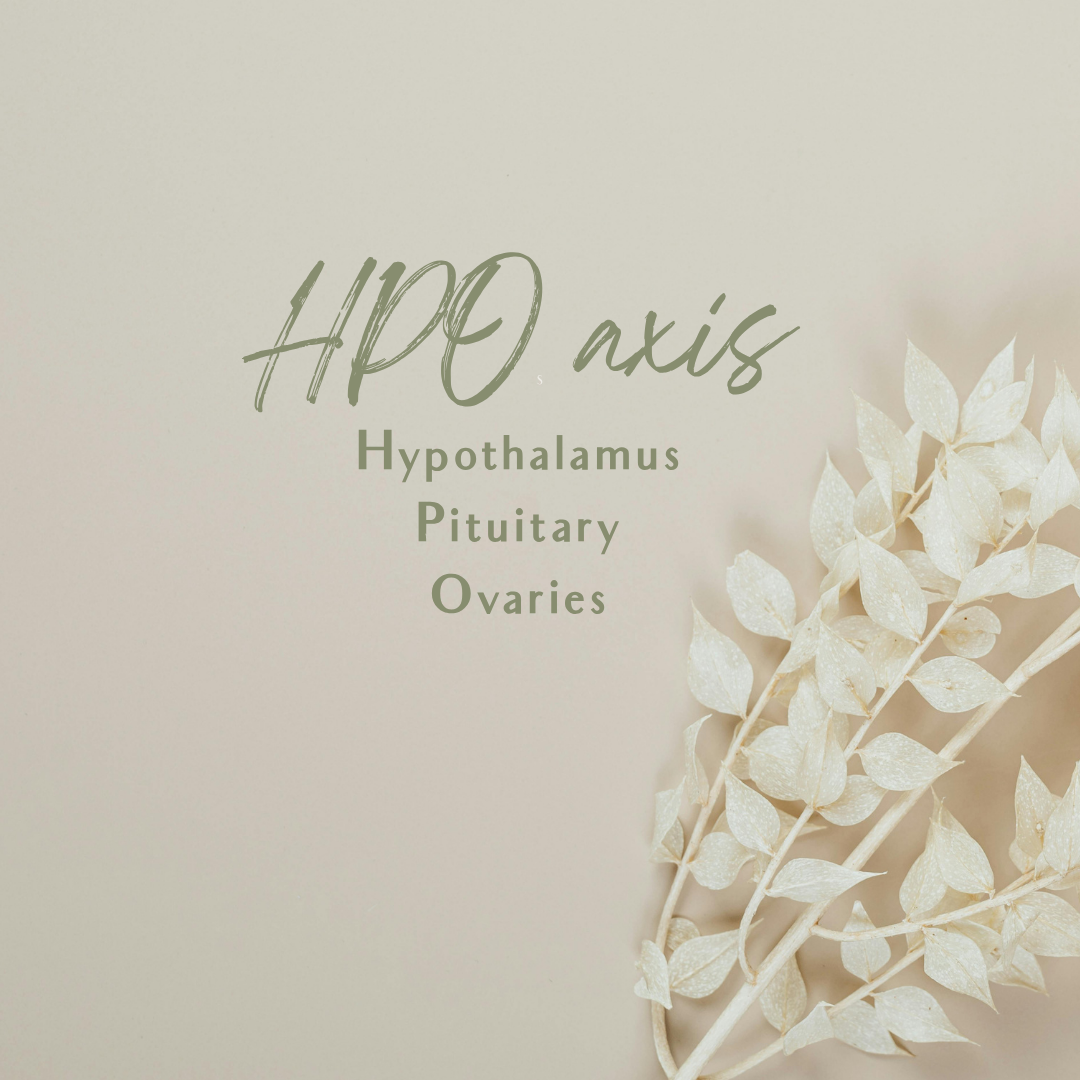 HPO Axis