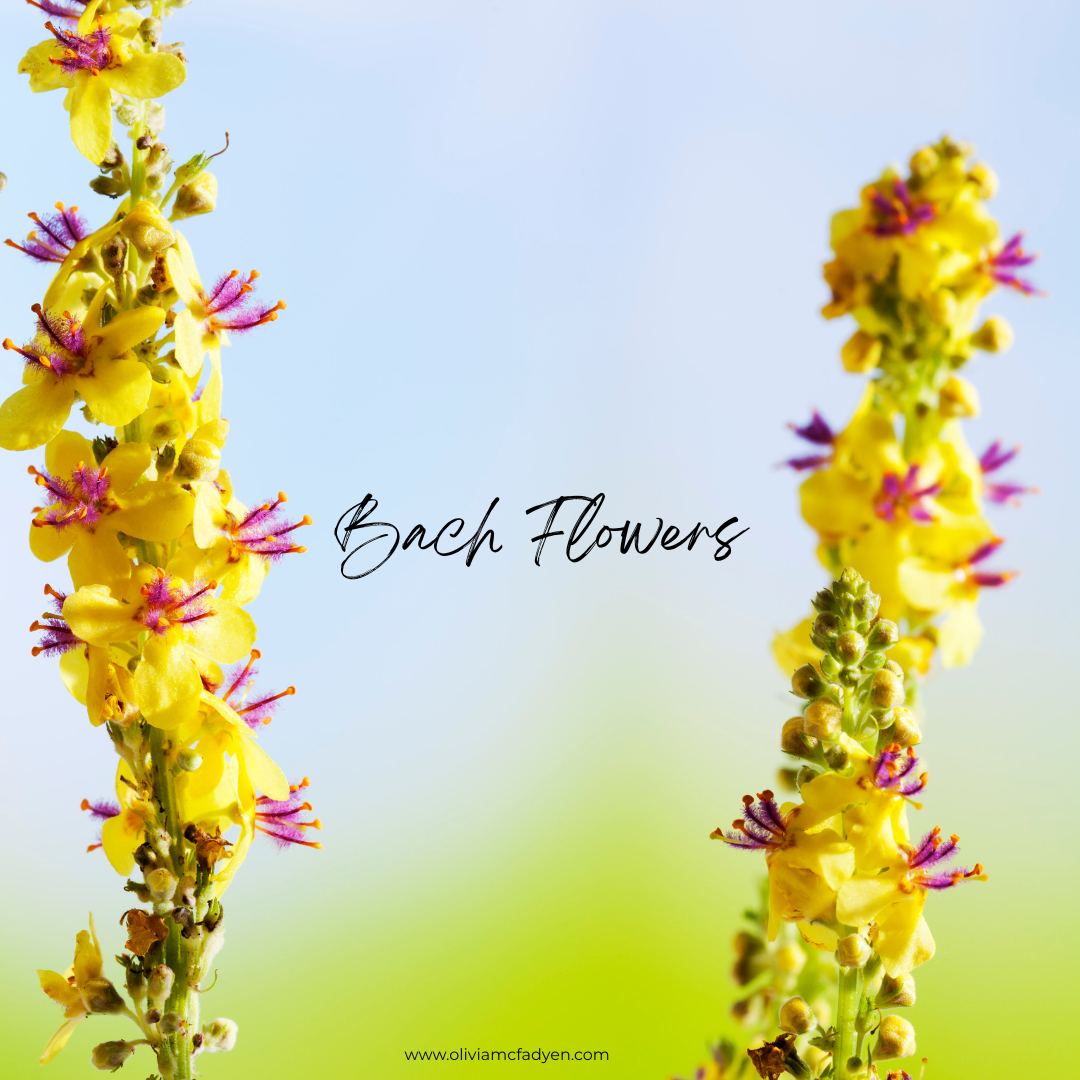Bach Flowers