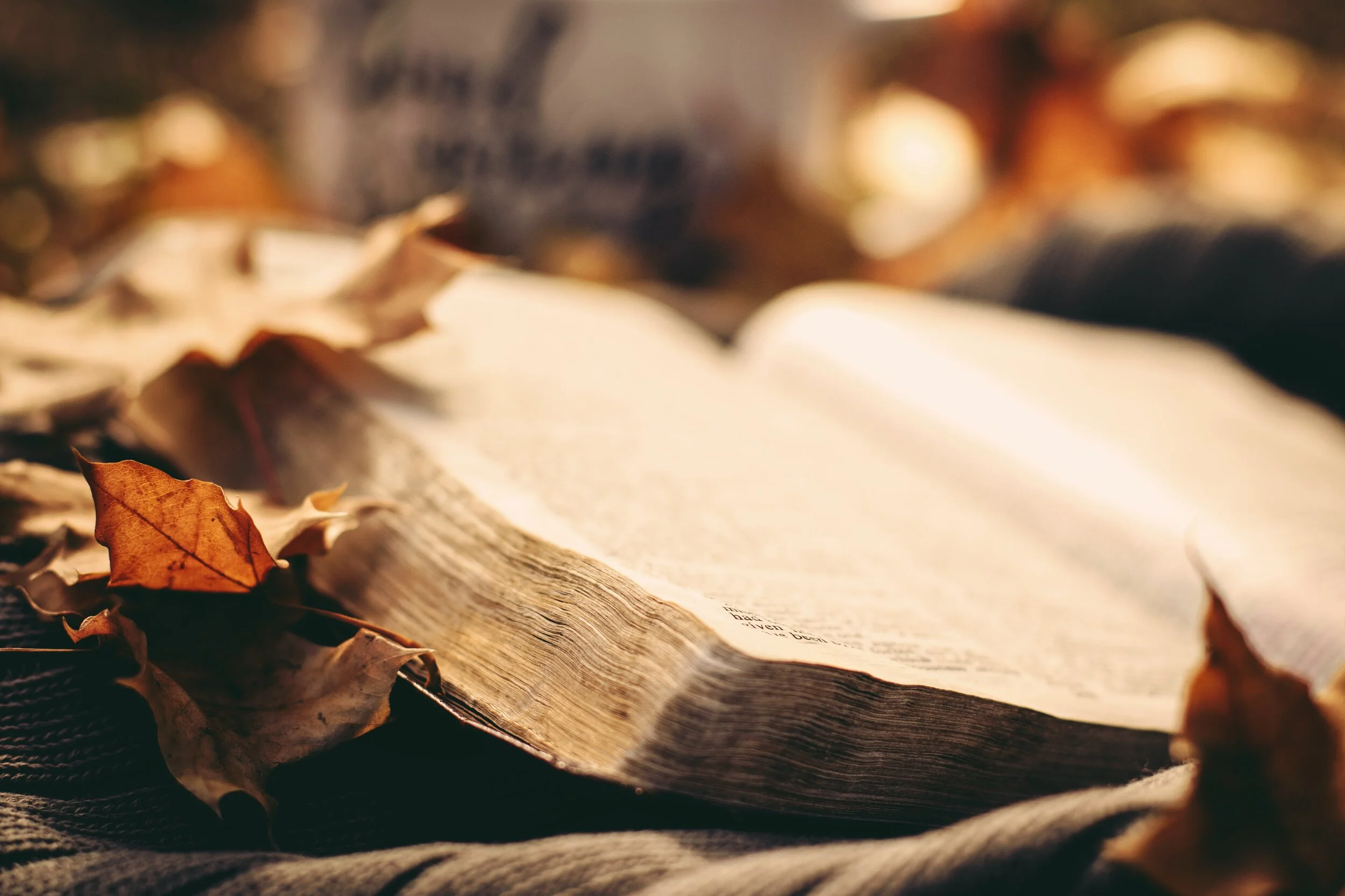 with prayer and thanksgiving...