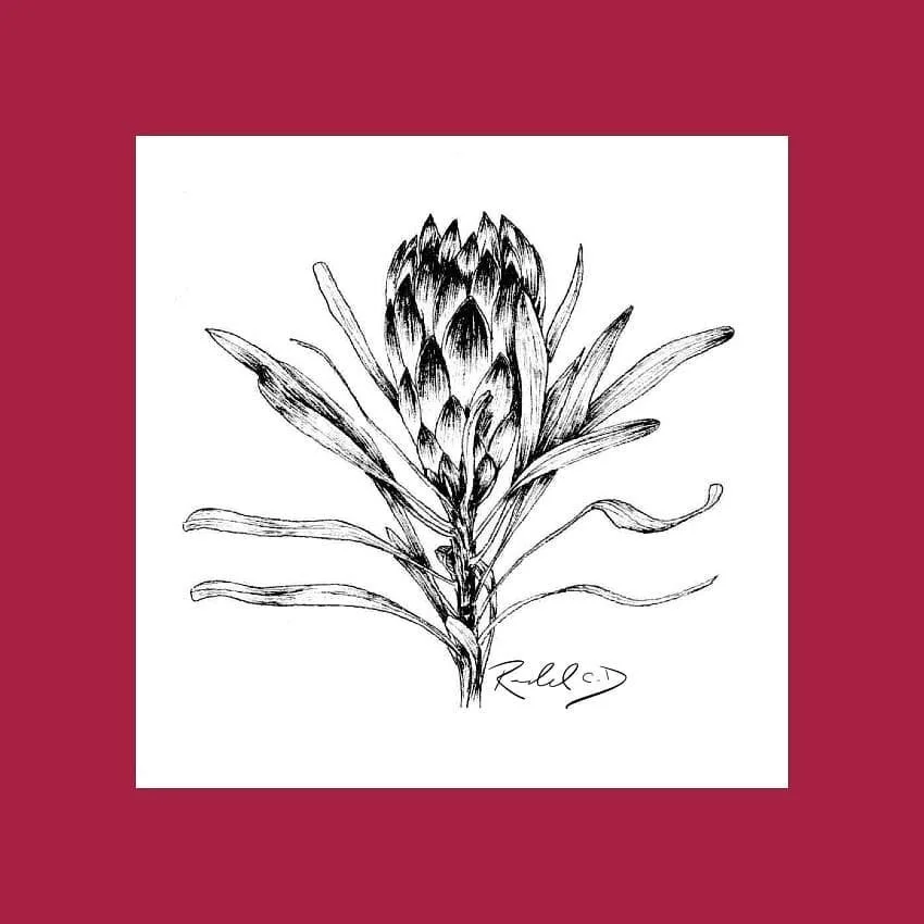 #100daysofart challenge! Here is day 52 referenced from @thisisfloragraphica
.
.
.
.
.
.
#flowers #florals #art #instaart #artofinstagram #ink #sketch #drawing #100daysofchallenge #100days #challenge #traditionalart #instaart #flower #daytwo #flowerp